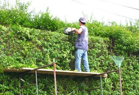 Expert Pruning & Hedge Trimming