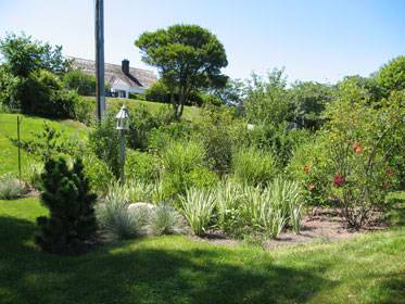 Montauk Rain Catch Garden