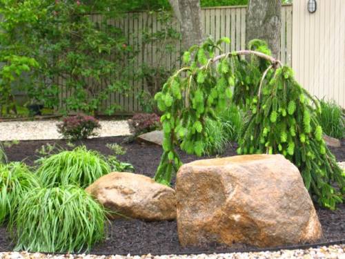 Japanese Rock Garden