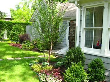 East Hampton Foundation Plantings